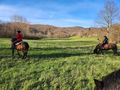 Altri animali domestici presso il bed & breakfast o nei dintorni