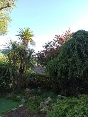 Giardino di Il Glicine cozy appartamnent, near Sestri Levante between Cinque terre e Portofino