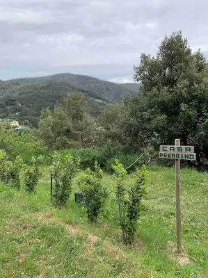 Paesaggio naturale nelle vicinanze dell'appartamento