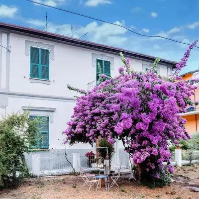 Casa elegante in mezzo al verde