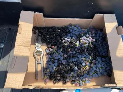 Planimetria di Casa Tincana