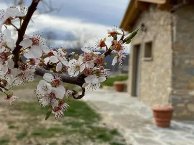 Planimetria di Casa Tincana