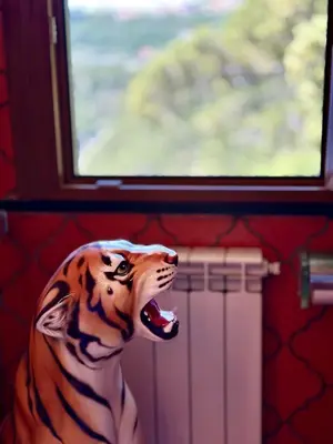 Ospiti di Portofino View - Unique House con animali domestici