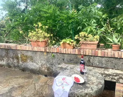 Bevande di Artists' holiday home near Cinque Terre - 4 bedrooms, large terrace, great views