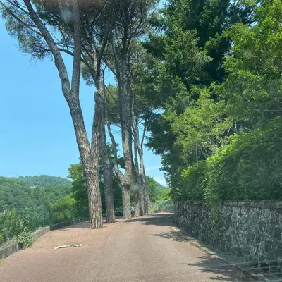Paesaggio naturale nelle vicinanze dell'appartamento
