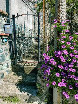 Giardino di Il Nido sullo Scoglio