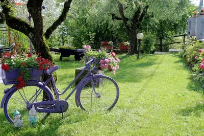 Giardino di Appartamenti l'Olivo