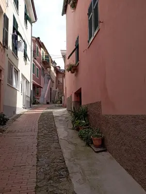 Il quartiere o una zona nella vicinanze dell'appartamento