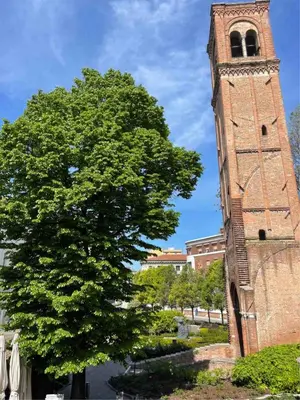 Planimetria di Casa San Domenico