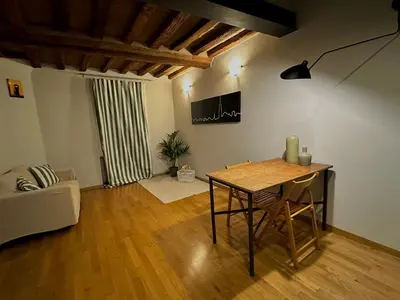 TV o dispositivi per l'intrattenimento presso Maison Vert appartamento in centro storico a Modena