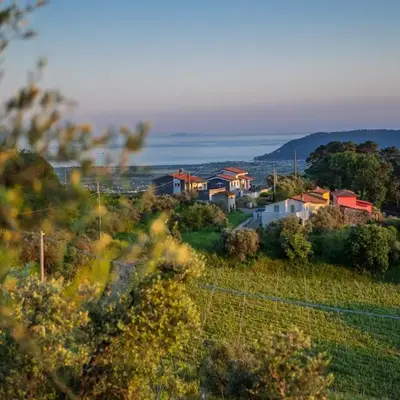 Vinomare Guesthouse