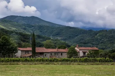 Paesaggio naturale nelle vicinanze dell'appartamento