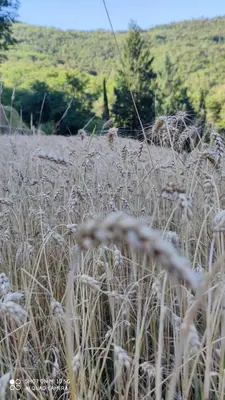 Paesaggio naturale nelle vicinanze della casa vacanze