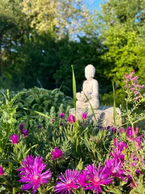 Giardino di Luci nel Bosco B&B