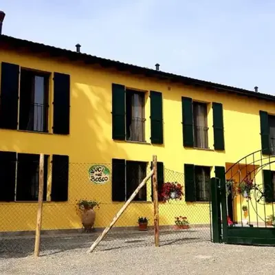 Luci nel Bosco B&B