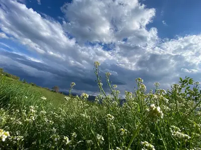 Paesaggio naturale nelle vicinanze dell'agriturismo