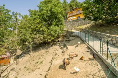 Altri animali domestici presso la casa vacanze o nei dintorni