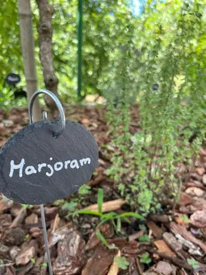 Giardino di La Casa dei Glicini