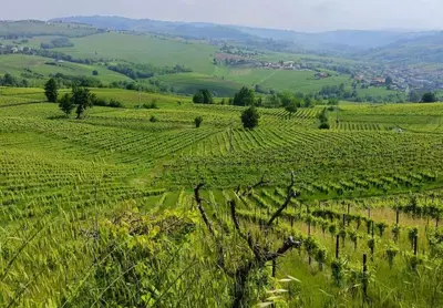Paesaggio naturale nelle vicinanze della casa vacanze