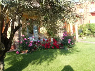 Giardino di B&B La Dimora delle Calendule