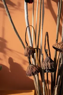 Planimetria di B&B Casanonni Borgo Angeli