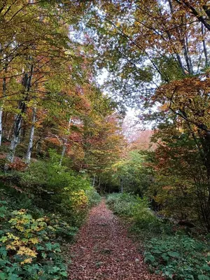 Paesaggio naturale nelle vicinanze dell'affittacamere