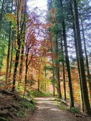 Paesaggio naturale nelle vicinanze dell'affittacamere