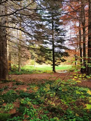 Paesaggio naturale nelle vicinanze dell'affittacamere