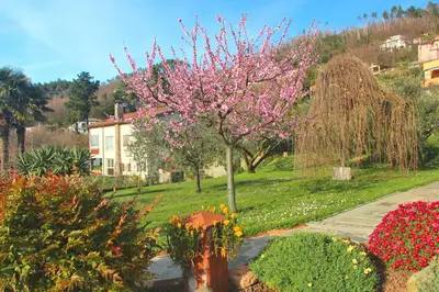 Giardino di Casa vacanze Ester