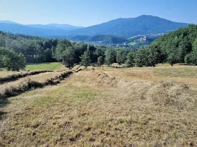 Paesaggio naturale nelle vicinanze dell'appartamento