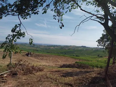 Paesaggio naturale nelle vicinanze dell'agriturismo