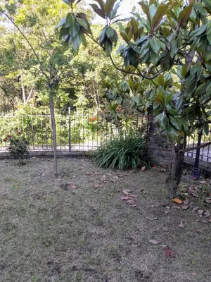 Giardino di Refurbished 3 Bedroom Farmhouse in Emilia