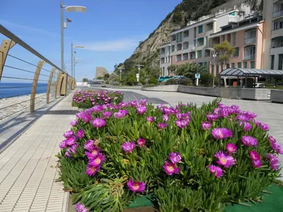 Paesaggio naturale nelle vicinanze dell'appartamento