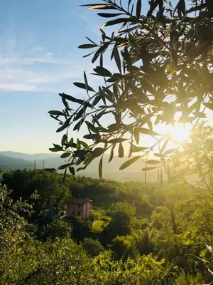 Paesaggio naturale nelle vicinanze dell'hotel