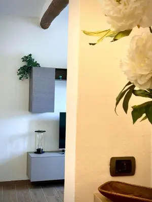 TV o dispositivi per l'intrattenimento presso Opera