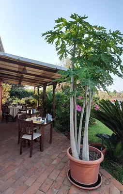 Giardino di Hotel Ristorante la Luna