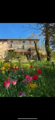 Giardino di B&B Ostria Vento