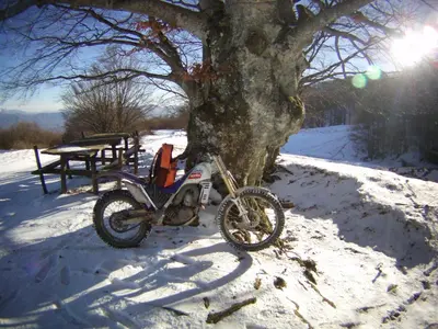 Tolasudolsa Rooms, Breakfast & Mountain Bike durante l'inverno
