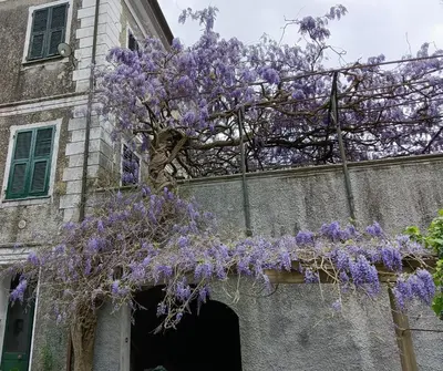 Planimetria di 2 appartamenti totale 12 posti letto