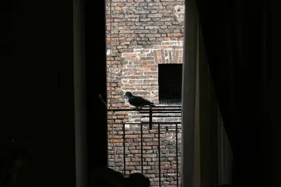 Planimetria di Casa Margherita