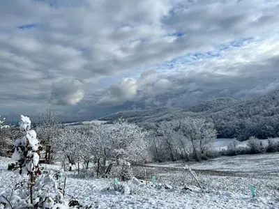 Paesaggio naturale nelle vicinanze dell'appartamento