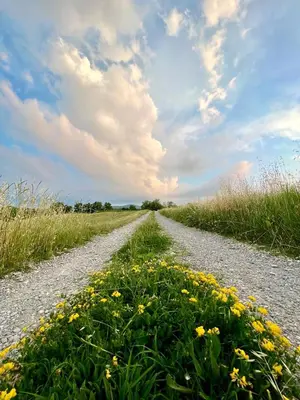 Paesaggio naturale nelle vicinanze dell'appartamento