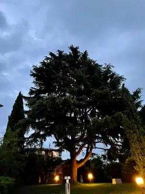 Giardino di Villa Caffetto Dépendance nei pressi del Lago di Garda