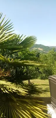 Paesaggio naturale nelle vicinanze dell'appartamento