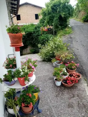Giardino di La casa di Mia
