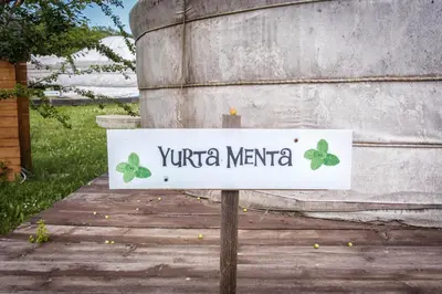 Certificato, attestato, insegna o altro documento esposto da Società Agricola Cacigolara