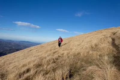 Paesaggio naturale nelle vicinanze del bed & breakfast