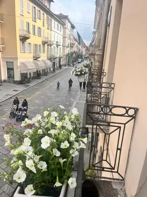 Il quartiere o una zona nella vicinanze dell'appartamento