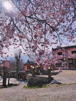 Planimetria di Nuovo Agriturismo Villa Enrichetta