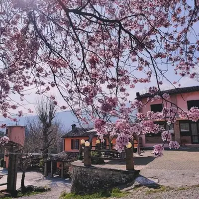 Nuovo Agriturismo Villa Enrichetta